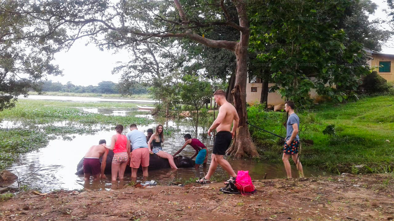 हबराना से हाथी की पीठ पर सफारी