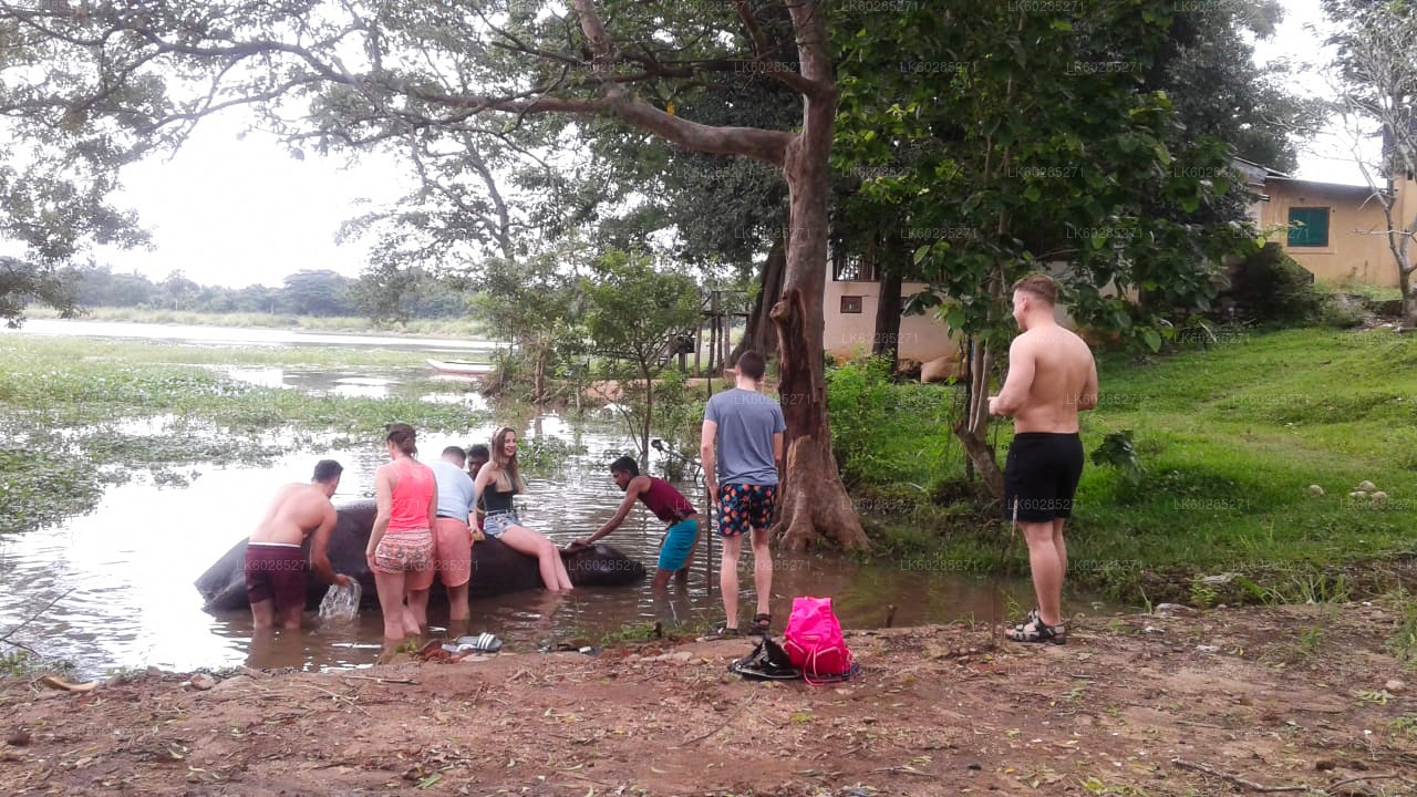 हबराना से हाथी की पीठ पर सफारी