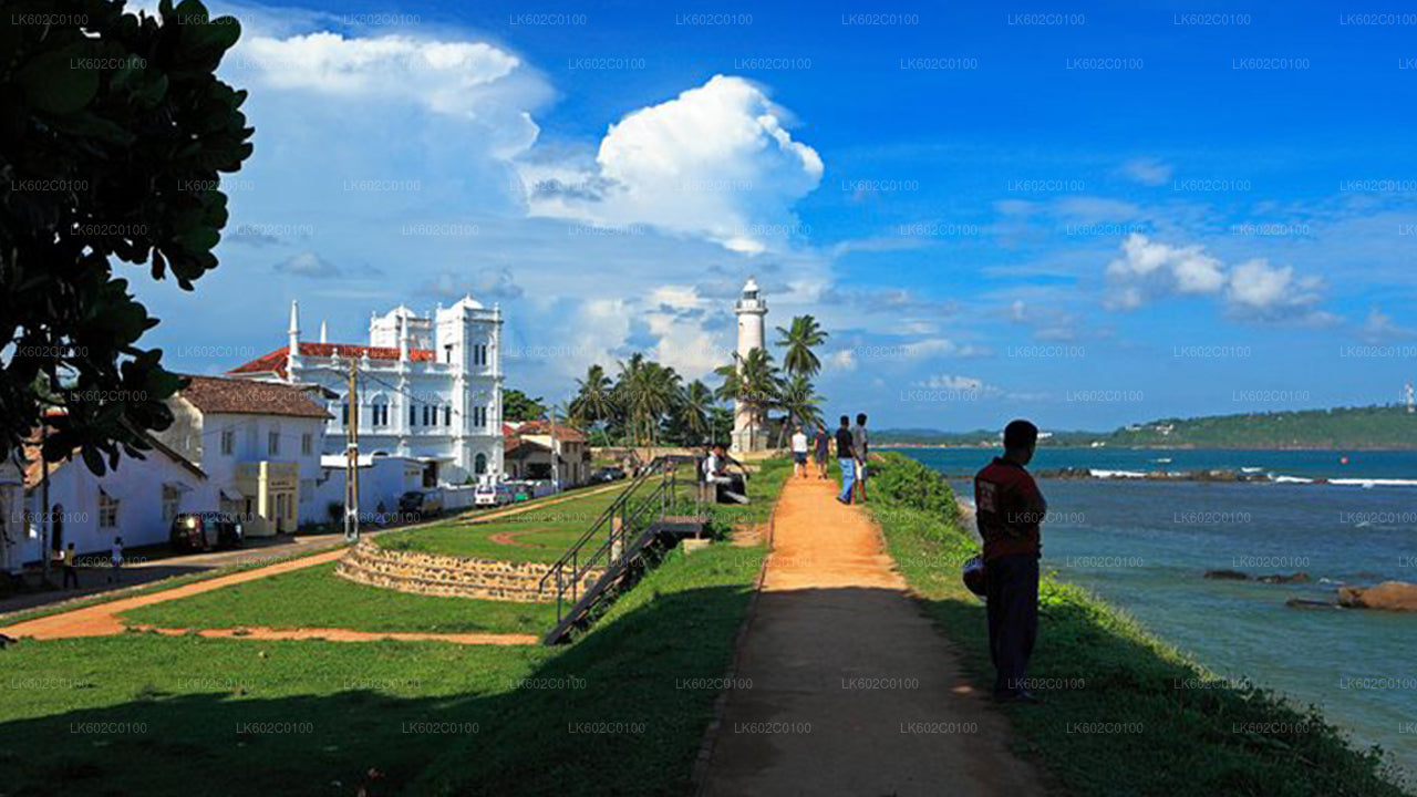 वेलिगामा शहर से दक्षिणी तट की खास बातें  वे ...