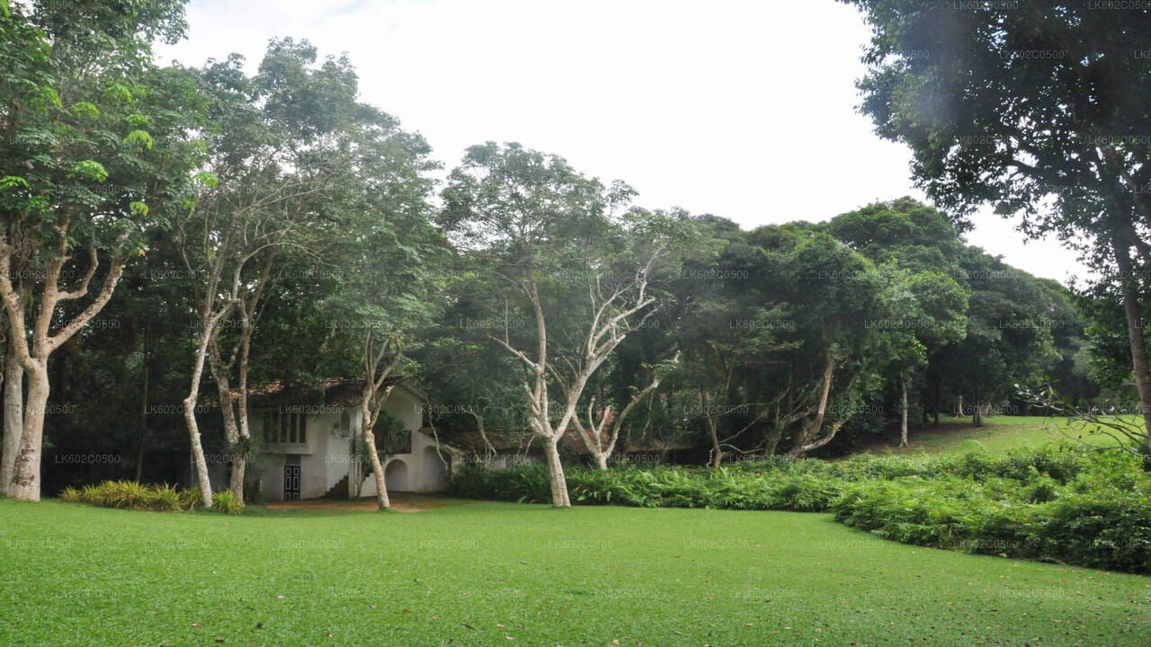 वेलिगामा से बेंटोटा सिटी टूर