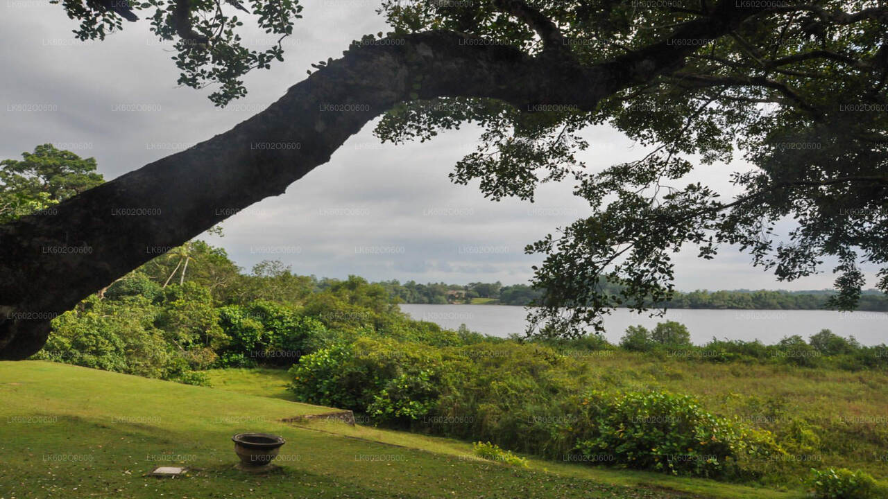 मिरिसा से बेंटोटा शहर का दौरा