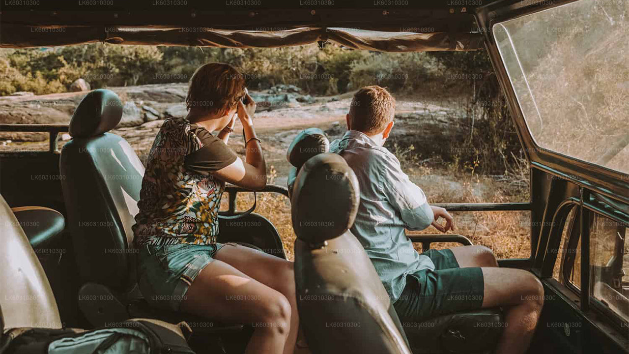 अहंगमा से याला नेशनल पार्क सफारी