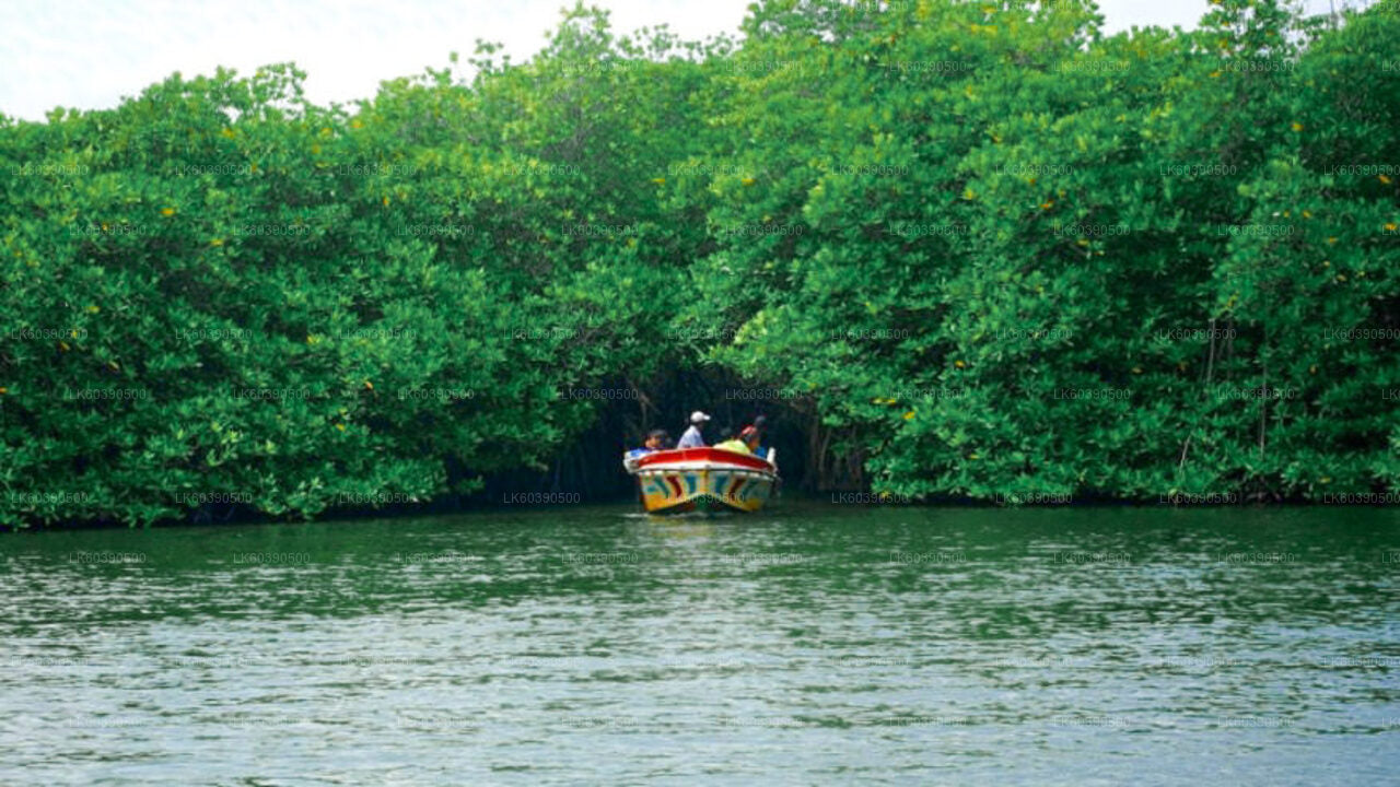 बालपितिया से दक्षिणी तट के दर्शनीय स्थल और नदी सफारी
