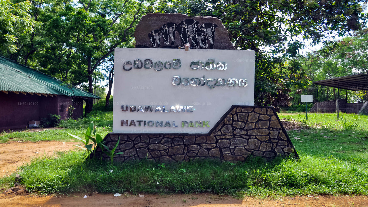 उनावटुना से उदावालावे नेशनल पार्क सफारी