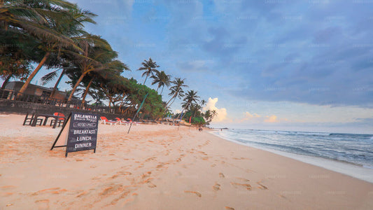 उनावटुना से दक्षिणी तट की खास बातें  उन ...