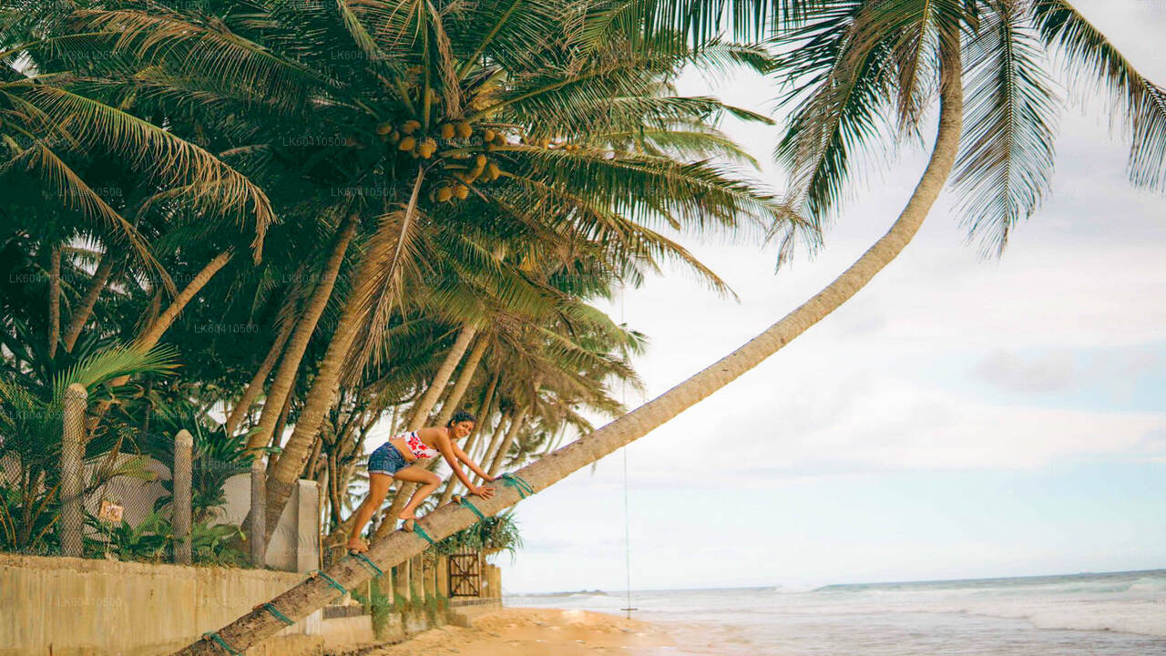 उनावटुना से दक्षिणी तट की खास बातें  उन ...