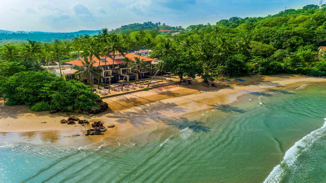 उनावटुना से दक्षिणी तट की खास बातें  उन ...