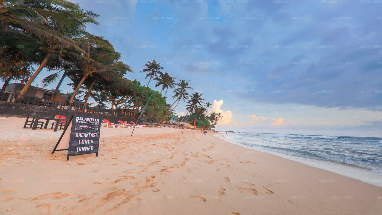 उनावटुना से छिपे हुए मंदिर और सुनसान तटीय इलाकों का टूर