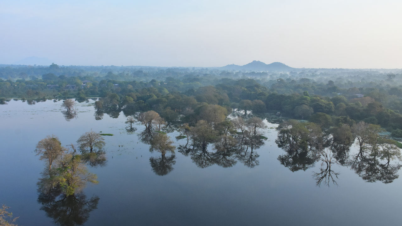 कंडलामा से हॉट एयर बैलूनिंग