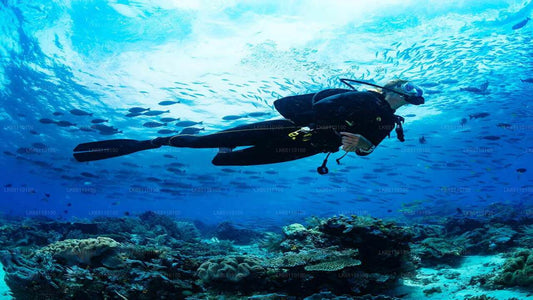 बेंटोटा से प्रो स्कूबा डाइविंग