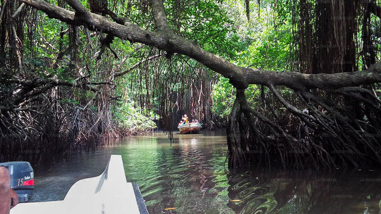 A boat safari along the Madu River in Sri Lanka, featuring a lush green mangrove forest on both sides and a person in a boat in the foreground.
