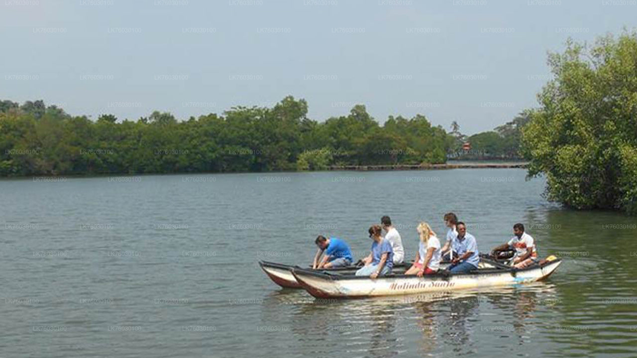 Madol Duwa Island and Mangroves by Boat from Koggala