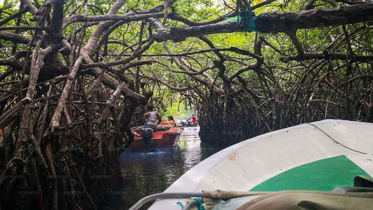 A boat safari along the Madu River in Sri Lanka, featuring mangrove trees and a person on a boat in the foreground.