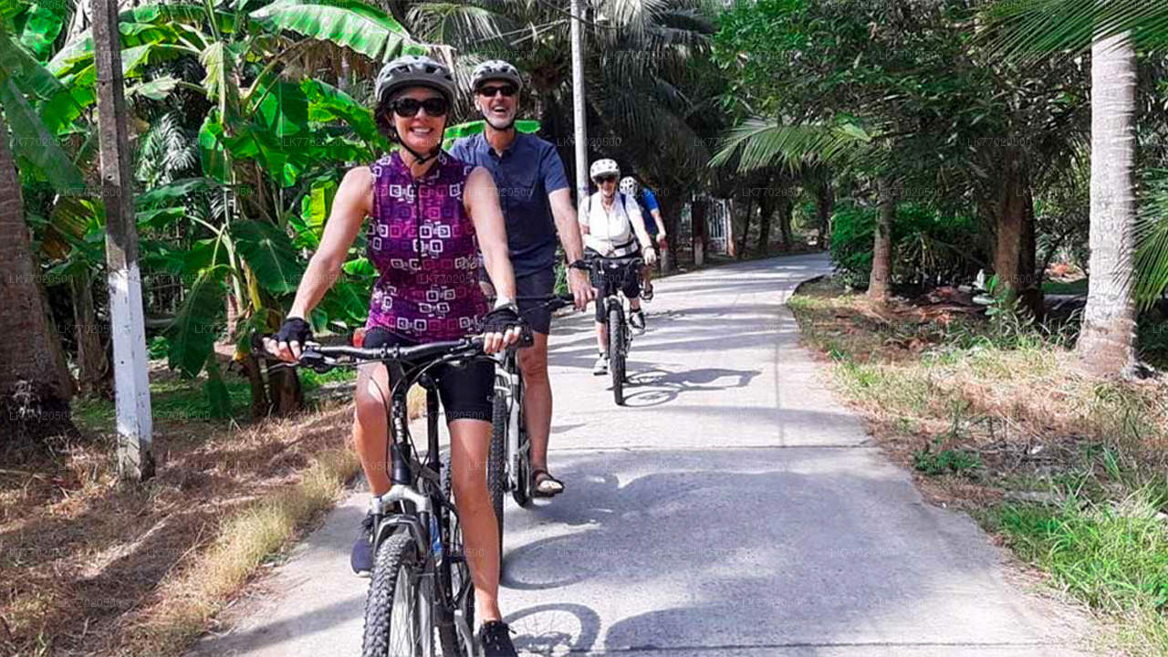 3 Temple Loop Cycling Tour from Kandy