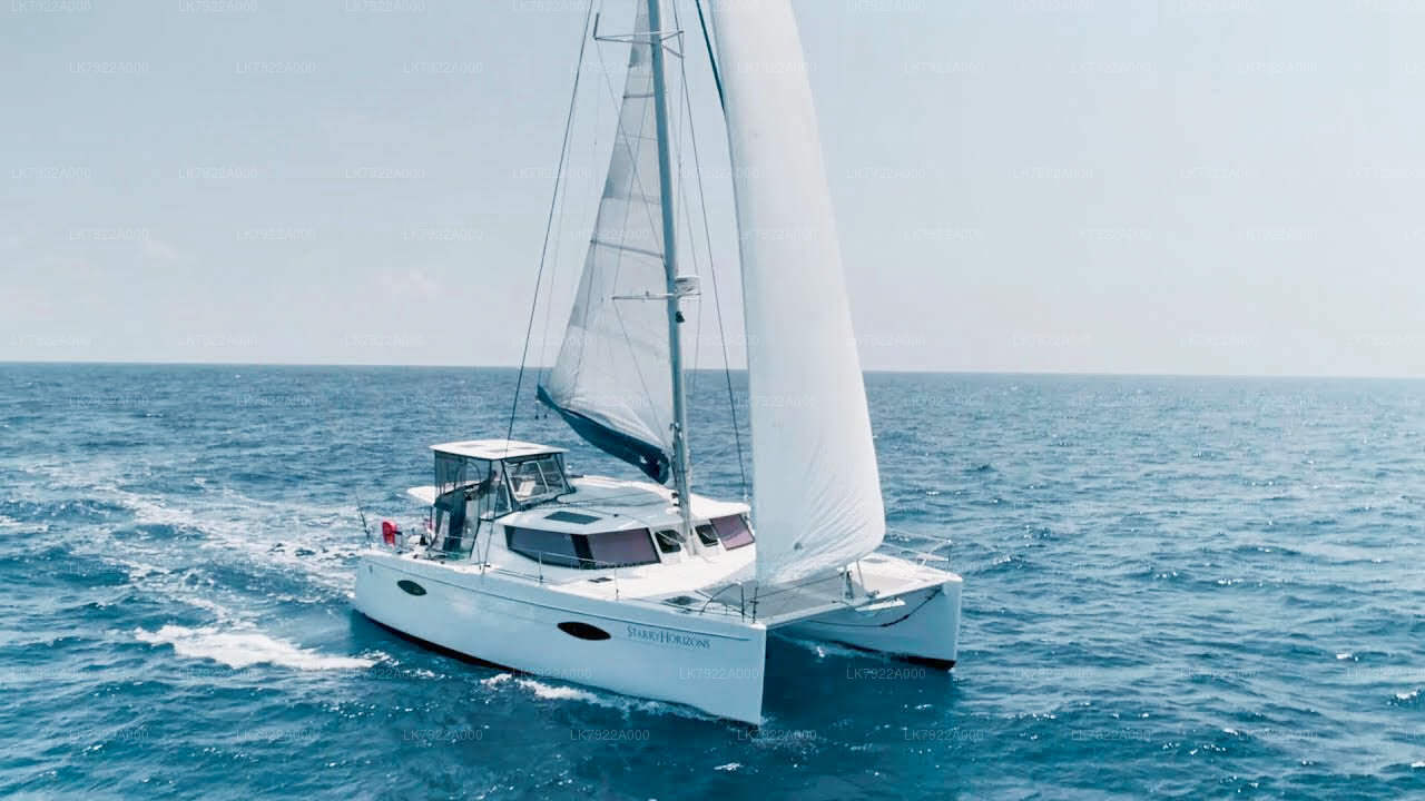 त्रिंकोमाली से व्हेल देखने की नौका यात्रा