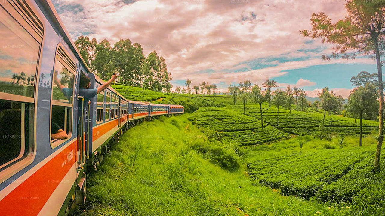 Ella to Peradeniya train ride on (Train № 1002 "Denuwara Menike")