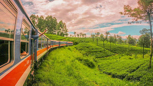 Ella to Peradeniya train ride on (Train № 1002 "Denuwara Menike")