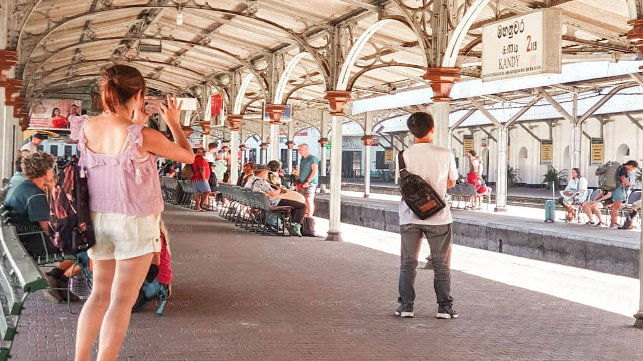 बदुल्ला से कोलंबो ट्रेन की सवारी (ट्रेन नंबर 1016 "उदारता मेनिके")