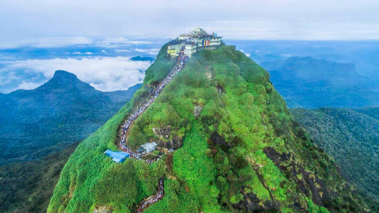 Scenic Flight to Adam's Peak from Ratmalana